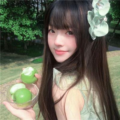 核能恶警